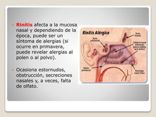  Rinitis afecta a la mucosa
nasal y dependiendo de la
época, puede ser un
síntoma de alergias (si
ocurre en primavera,
puede revelar alergias al
polen o al polvo).
 Ocasiona estornudos,
obstrucción, secreciones
nasales y, a veces, falta
de olfato.
 