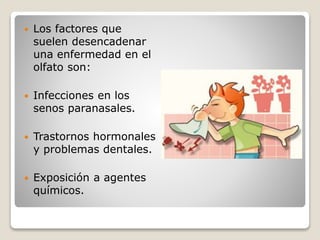  Los factores que
suelen desencadenar
una enfermedad en el
olfato son:
 Infecciones en los
senos paranasales.
 Trastornos hormonales
y problemas dentales.
 Exposición a agentes
químicos.
 