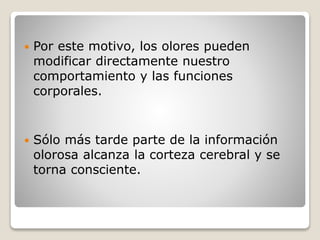  Por este motivo, los olores pueden
modificar directamente nuestro
comportamiento y las funciones
corporales.
 Sólo más tarde parte de la información
olorosa alcanza la corteza cerebral y se
torna consciente.
 