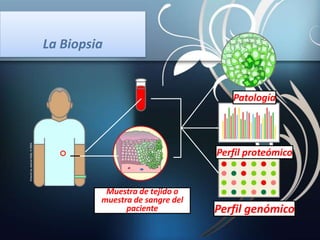 La Biopsia
Muestra de tejido o
muestra de sangre del
paciente Perfil genómico
Perfil proteómico
Patología
 