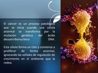 El cáncer es un proceso patológico
que se inicia cuando una célula
anormal se transforma por la
mutación genética del ácido
desoxirribonucleico DNA.
Esta célula forma un clon y comienza a
proliferar de forma anormal,
ignorando las señales de regulación de
crecimiento en el ambiente que la
rodea.
 