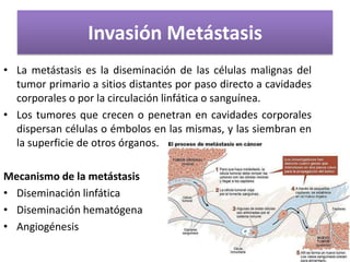 Invasión Metástasis
• La metástasis es la diseminación de las células malignas del
tumor primario a sitios distantes por paso directo a cavidades
corporales o por la circulación linfática o sanguínea.
• Los tumores que crecen o penetran en cavidades corporales
dispersan células o émbolos en las mismas, y las siembran en
la superficie de otros órganos.
Mecanismo de la metástasis
• Diseminación linfática
• Diseminación hematógena
• Angiogénesis
 