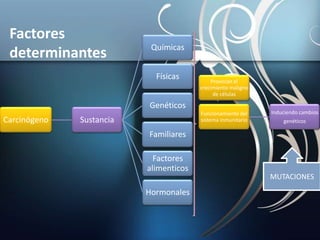 Carcinógeno Sustancia
Químicas
Físicas
Genéticos
Familiares
Factores
alimenticos
Hormonales
Provocan el
crecimiento maligno
de células
Funcionamiento del
sistema inmunitario
Induciendo cambios
genéticos
MUTACIONES
Factores
determinantes
 