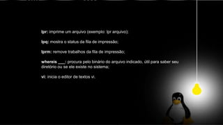 lpr: imprime um arquivo (exemplo: lpr arquivo);
lpq: mostra o status da fila de impressão;
lprm: remove trabalhos da fila de impressão;
whereis ___: procura pelo binário do arquivo indicado, útil para saber seu
diretório ou se ele existe no sistema;
vi: inicia o editor de textos vi.
 