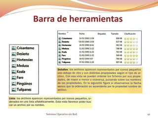 Sistemas Operativo sin Red. 92
Barra de herramientas
 