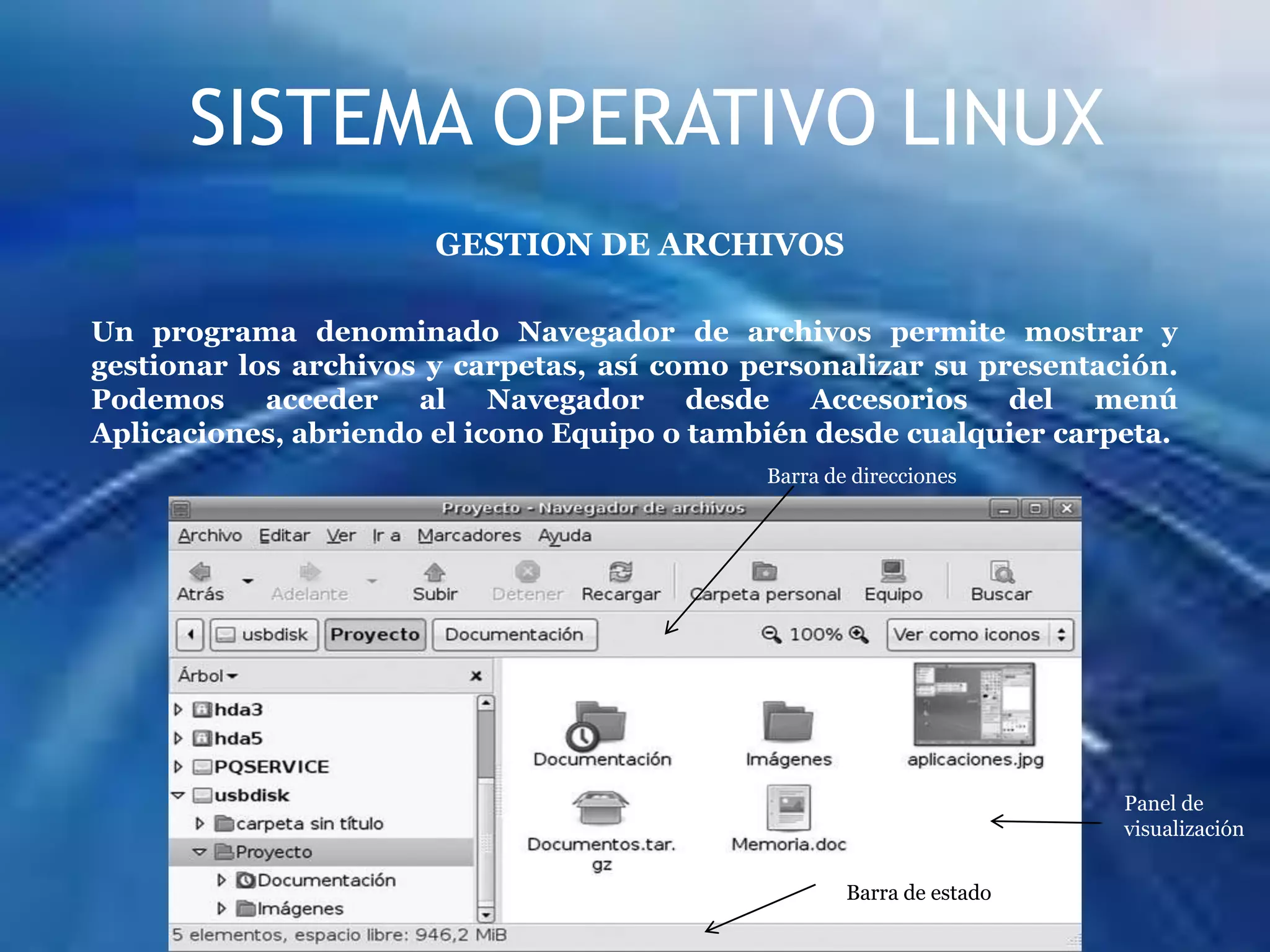SISTEMA OPERATIVO LINUXGESTION DE ARCHIVOSUn programa denominado Navegador de archivos permite mostrar y gestionar los archivos y carpetas, así como personalizar su presentación. Podemos acceder al Navegador desde Accesorios del menú Aplicaciones, abriendo el icono Equipo o también desde cualquier carpeta.Barra de direccionesPanel de visualizaciónBarra de estado