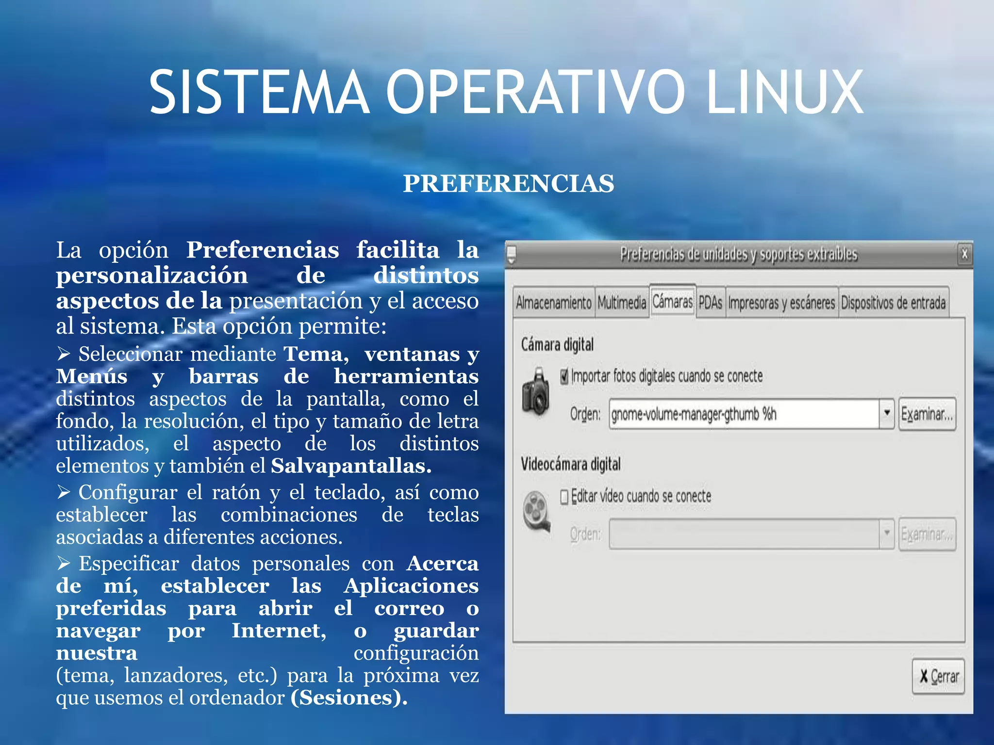 SISTEMA OPERATIVO LINUXPREFERENCIASLa opción Preferencias facilita la personalización de distintos aspectos de la presentación y el acceso al sistema. Esta opción permite:Seleccionar mediante Tema,  ventanas y Menús y barras de herramientas distintos aspectos de la pantalla, como el fondo, la resolución, el tipo y tamaño de letra utilizados, el aspecto de los distintos elementos y también el Salvapantallas.