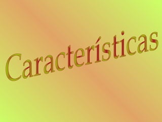 Características 