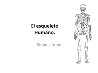 El esqueletoHumano. Sistema óseo. 
