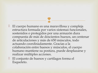 
 El cuerpo humano es una maravillosa y compleja
estructura formada por varios sistemas funcionales,
sostenidos o protegidos por una armazón dura
compuesta de más de doscientos huesos, un centenar
de articulaciones y más de 650 músculos, todo
actuando coordinadamente. Gracias a la
colaboración entre huesos y músculos, el cuerpo
humano mantiene su postura, puede desplazarse y
realizar múltiples acciones.
 El conjunto de huesos y cartílagos forma el
Esqueleto.
 