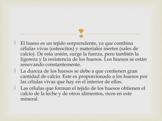 
 El hueso es un tejido sorprendente, ya que combina
células vivas (osteocitos) y materiales inertes (sales de
calcio). De esta unión, surge la fuerza, pero también la
ligereza y la resistencia de los huesos. Los huesos se están
renovando constantemente.
 La dureza de los huesos se debe a que contienen gran
cantidad de calcio. Este es proporcionado a los huesos por
las células vivas que hay en el interior de ellos.
 Las células que forman el tejido de los huesos obtienen el
calcio de la leche y de otros alimentos, ricos en este
mineral.
 