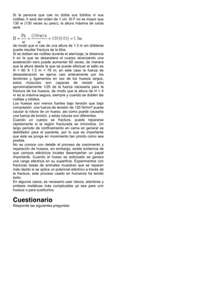 Si la persona que cae no dobla sus tobillos ni sus
rodillas, h será del orden de 1 cm. Si F no es mayor que
130 w (130 veces su peso), la altura máxima de caída
será:

de modo que si cae de una altura de 1.3 m sin doblarse
puede resultar fractura de la tibia.
Si se doblan las rodillas durante el aterrizaje, la distancia
h en la que se desacelera el cuerpo alcanzando una
aceleración cero puede aumentar 60 veces, de manera
que la altura desde la que se puede efectuar el salto es
H = 60 X 1.3 m = 78 m; en este caso la fuerza de
desaceleración se ejerce casi enteramente por los
tendones y ligamentos en vez de los huesos largos,
estos músculos son capaces de resistir sólo
aproximadamente 1/20 de la fuerza necesaria para la
fractura de los huesos, de modo que la altura de H = 4
m es la máxima segura, siempre y cuando se doblen las
rodillas y tobillos.
Los huesos son menos fuertes bajo tensión que bajo
compresión: una fuerza de tensión de 120 N/mm² puede
causar la rotura de un hueso, asi como puede causarla
una fuerza de torsión, y estas roturas son diferentes.
Cuando un cuerpo se fractura, puede repararse
rápidamente si la región fracturada se inmoviliza. Un
largo periodo de confinamiento en cama en general es
debilitador para el paciente, por lo que es importante
que éste se ponga en movimiento tan pronto como sea
posible.
No se conoce con detalle el proceso de crecimiento y
reparación de huesos, sin embargo, existe evidencia de
que campos eléctricos locales desempeñan un papel
importante. Cuando el hueso es esforzado se genera
una carga eléctrica en su superficie. Experimentos con
fracturas óseas de animales muestran que se reparan
más rápido si se aplica un potencial eléctrico a través de
la fractura, este proceso usado en humanos ha tenido
éxito.
En algunos casos, es necesario usar clavos, alambres y
prótesis metálicas más complicadas ya sea para unir
huesos o para sustituirlos.

Cuestionario
Responde las siguientes preguntas:

 