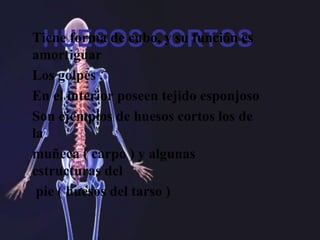 HUESOS CORTOSTiene forma de cubo, y su función es
amortiguar
Los golpes .
En el interior poseen tejido esponjoso
Son ejemplos de huesos cortos los de
la
muñeca ( carpo ) y algunas
estructuras del
pie ( huesos del tarso )
 