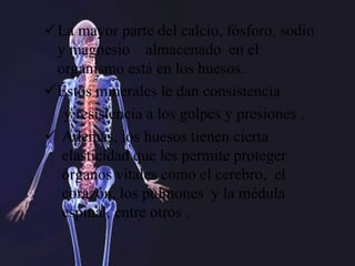 La mayor parte del calcio, fósforo, sodio
y magnesio almacenado en el
organismo está en los huesos.
Estos minerales le dan consistencia
y resistencia a los golpes y presiones .
 Además, los huesos tienen cierta
elasticidad que les permite proteger
órganos vitales como el cerebro, el
corazón, los pulmones y la médula
espinal, entre otros .
 