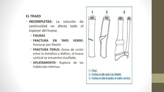EL TRAZO
• INCOMPLETAS: La solución de
continuidad no afecta todo el
espesor del hueso.
FISURAS
FRACTURA EN TAYO VERDE:
fracturas por flexión
FRACTURA TORUS: Zonas de unión
entre la metafisis y diáfisis, el hueso
cortical se encuentra insuflado.
APLATAMIENTO: Ruptura de las
trabéculas internas.
 