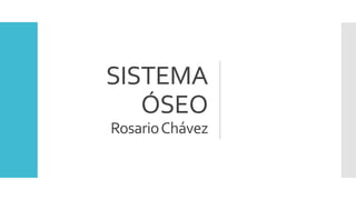 SISTEMA
ÓSEO
RosarioChávez
 