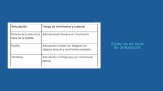 Ejemplos de tipos
de articulacion
 