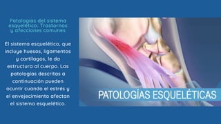 El sistema esquelético, que
incluye huesos, ligamentos
y cartílagos, le da
estructura al cuerpo. Las
patologías descritas a
continuación pueden
ocurrir cuando el estrés y
el envejecimiento afectan
el sistema esquelético.
Patologías del sistema
esquelético: Trastornos
y afecciones comunes
 
