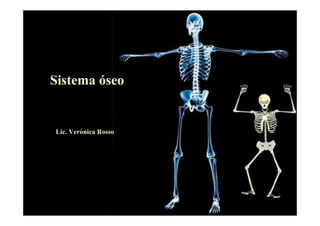Sistema óseo
Lic. Verónica Rosso
 