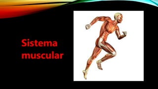 Sistema
muscular
 