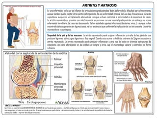 ARTRITIS Y ARTROSIS
Es una enfermedad en la que se inflaman las articulaciones produciéndose dolor, deformidad y dificultad para el movimiento,
aunque también puede afectar otras partes del organismo. Es una enfermedad crónica, con una baja frecuencia de curación
espontánea, aunque con un tratamiento adecuado se consigue un buen control de la enfermedad en la mayoría de los casos.
La artritis reumatoide se presenta con más frecuencia en personas con una especial predisposición, sin embargo no es una
enfermedad hereditaria. La causa es desconocida. Se han estudiado agentes infecciosos (bacterias, virus...) y aunque se han
encontrado datos sugerentes en algunos casos, no hay evidencias que confirmen la implicación de uno en concreto. La artritis
reumatoide no es contagiosa.
Sequedad de la piel y de las mucosas. La artritis reumatoide puede originar inflamación y atrofia de las glándulas que
producen lágrimas, saliva, jugos digestivos o flujo vaginal. Cuando esto ocurre se habla de síndrome de Sjögren secundario a
artritis reumatoide. La artritis reumatoide puede producir inflamación u otro tipo de lesión en diversas estructuras del
organismo, así como alteraciones en los análisis de sangre y orina, que el reumatólogo vigilará y controlará de forma
rutinaria.
¿QUÉ ES LA ARTROSIS?
La artrosis es una enfermedadDEGENERATIVA (DE DESGASTE) de la articulaciónque comienzaa nivel del cartílago que es el tejido que se encuentraentre huesoy huesoe
interviene en que un huesose articule con el otro. De las articulacionesque puedeafectara la columnacervical y lumbar, a las articulacionesde los nudillos de los dedos,las
caderas,las rodillas y el primer dedo del pie entre otras?
 