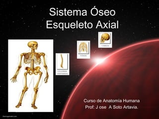 Sistema Óseo
Esqueleto Axial
Curso de Anatomía Humana
Prof: J ose A Soto Artavia.
 