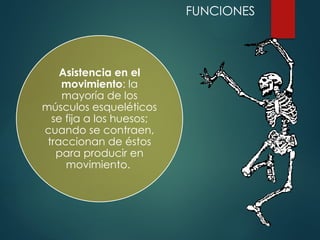 Asistencia en el
movimiento: la
mayoría de los
músculos esqueléticos
se fija a los huesos;
cuando se contraen,
traccionan de éstos
para producir en
movimiento.
FUNCIONES
 