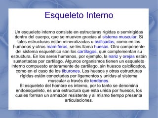 Esqueleto Interno Un esqueleto interno consiste en estructuras rígidas o semirígidas dentro del cuerpo, que se mueven gracias al  sistema muscular . Si tales estructuras están mineralizadas u  osificadas , como en los humanos y otros  mamíferos , se les llama  huesos . Otro componente del sistema esquelético son los  cartílagos , que complementan su estructura. En los seres humanos, por ejemplo, la  nariz  y  orejas  están sustentadas por cartílago. Algunos organismos tienen un esqueleto interno compuesto enteramente de cartílago, sin huesos calcificados, como en el caso de los  tiburones . Los huesos y otras estructuras rígidas están conectadas por ligamentos y unidas al sistema muscular a través de  tendones . El esqueleto del hombre es interno, por lo tanto se denomina endoesqueleto, es una estructura que esta unida por huesos, los cuales forman un armazón resistente y al mismo tiempo presenta articulaciones . 