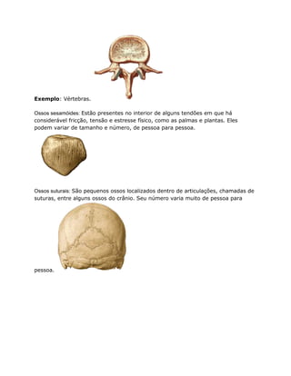 Exemplo: Vértebras.
Ossos sesamóides: Estão presentes no interior de alguns tendões em que há
considerável fricção, tensão e estresse físico, como as palmas e plantas. Eles
podem variar de tamanho e número, de pessoa para pessoa.
Ossos suturais: São pequenos ossos localizados dentro de articulações, chamadas de
suturas, entre alguns ossos do crânio. Seu número varia muito de pessoa para
pessoa.
 