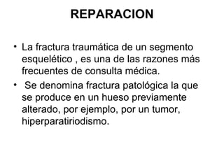 REPARACION La fractura traumática de un segmento esquelético , es una de las razones más frecuentes de consulta médica. Se denomina fractura patológica la que se produce en un hueso previamente alterado, por ejemplo, por un tumor, hiperparatiriodismo. 