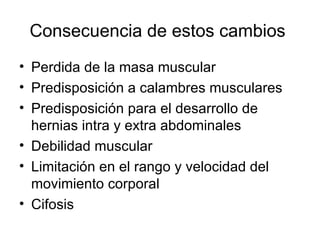 Consecuencia de estos cambios  Perdida de la masa muscular  Predisposición a calambres musculares Predisposición para el desarrollo de hernias intra y extra abdominales  Debilidad muscular  Limitación en el rango y velocidad del movimiento corporal  Cifosis 