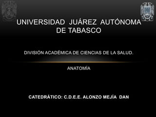 UNIVERSIDAD JUÁREZ AUTÓNOMA
DE TABASCO
DIVISIÓN ACADÉMICA DE CIENCIAS DE LA SALUD.
ANATOMÍA
CATEDRÁTICO: C.D.E.E. ALONZO MEJÍA DAN
 