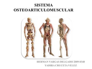 SISTEMA OSTEOARTICULOMUSCULAR HERMAN VARGAS DELGADO 2009-0340 YADIRA CRUCETA VELEZ 