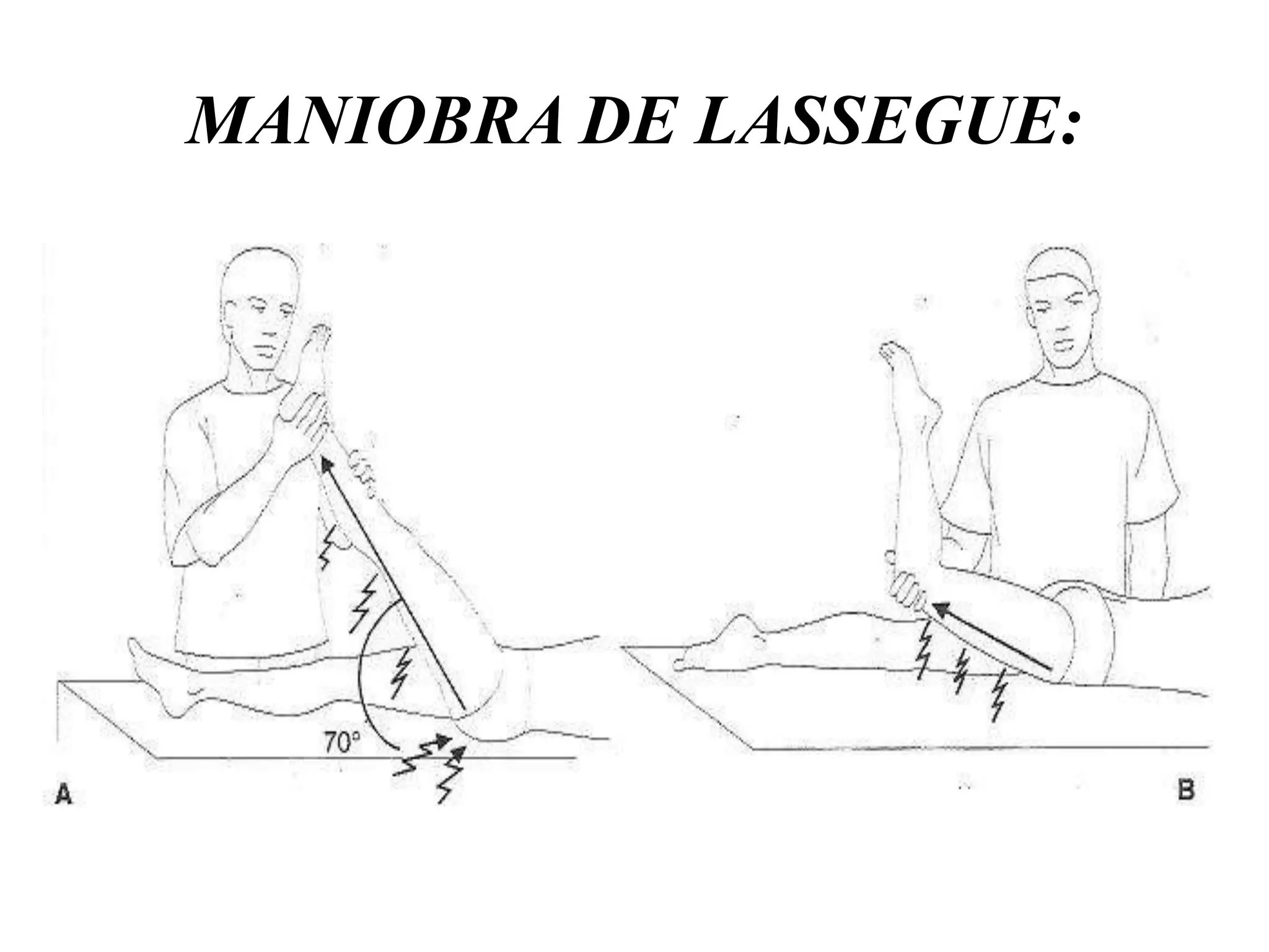 Lassague Sistema osteoarticulomuscular parte 2 | PPTX