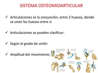 SISTEMA OSTEOMIOARTICULAR

 Articulaciones es la conjunción, entre 2 huesos, donde
  se unen los huesos entre si

 Articulaciones se pueden clasificar:

 Según el grado de unión

 Amplitud del movimiento
 