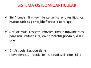 SISTEMA OSTEOMIOARTICULAR

 Sin Artrosis: Sin movimiento, articulaciones fijas, los
  huesos unidos por tejido fibroso o cartilago

 Anfi-Artrosis: Las semi-moviles, tienen movimientos
  pero son limitados, tejido fibrocartilaginoso que las
  une

 Di- Artrosis: Las que tiene
  movimientos, articulaciones dotadas de movilidad
 