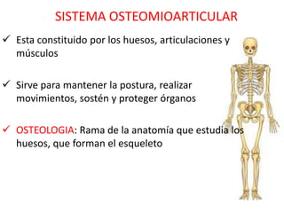 SISTEMA OSTEOMIOARTICULAR
 Esta constituido por los huesos, articulaciones y
  músculos

 Sirve para mantener la postura, realizar
  movimientos, sostén y proteger órganos

 OSTEOLOGIA: Rama de la anatomía que estudia los
  huesos, que forman el esqueleto
 