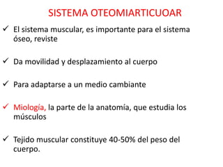 SISTEMA OTEOMIARTICUOAR
 El sistema muscular, es importante para el sistema
  óseo, reviste

 Da movilidad y desplazamiento al cuerpo

 Para adaptarse a un medio cambiante

 Miología, la parte de la anatomía, que estudia los
  músculos

 Tejido muscular constituye 40-50% del peso del
  cuerpo.
 