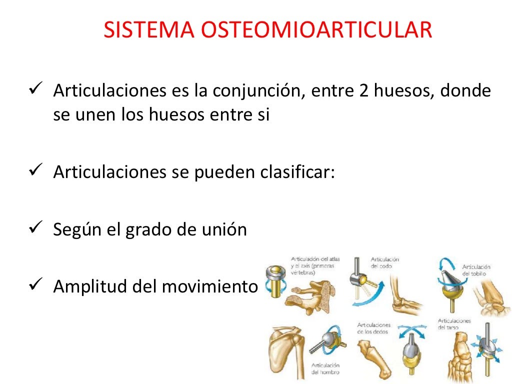 Osteomioarticular O Que é - NAZAEDU