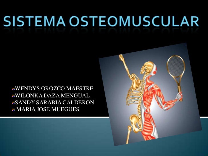 Sistema osteomuscular
