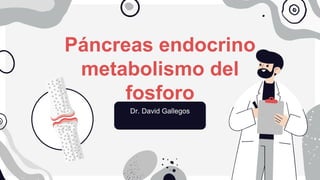 Páncreas endocrino
metabolismo del
fosforo
Dr. David Gallegos
 