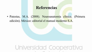 Referencias
• Patestas, M.A. (2008). Neuroanatomía clínica. (Primera
edición). México: editorial el manual moderno S.A.
 