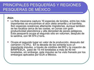 PRINCIPALES PESQUERÍAS Y REGIONES
PESQUERAS DE MÉXICO

 Atún.
  La flota mexicana captura 10 especies de túnidos, entre los más
   importantes se encuentran el atún aleta amarilla y el barrileta.
   Son especies oceánicas altamente migratorias, aunque también
   se les localiza cerca de las costas, en zonas con gran
   productividad planctónica y alta densidad de peces pelágicos.
   Esta pesquería ocupa el segundo sitio en volumen, después de
   la sardina, con 94 974.2 tons.

    Ocupa el segundo lugar en valor de la producción, después del
     camarón (12.9%). En la década de los ochenta tuvo un
     importante impulso, a través de créditos del BID y la creación de
     BANPESCA, pasó de 15 mil toneladas a más de 40 mil
     toneladas, sin embargo, este impulso se ha visto frenado por los
     embargos aplicados por EUA a México.
 