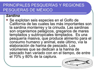 PRINCIPALES PESQUERÍAS Y REGIONES
PESQUERAS DE MÉXICO
 Sardina
  Se explotan seis especies en el Golfo de
   California de las cuales las más importantes son
   la sardina monterrey y la crinuda. Las sardinas
   son organismos pelágicos, gregarios de mares
   templados y subtropicales templados. Es una
   pesquería masiva, que produce alimento para el
   consumo humano y animal, este último, vía la
   elaboración de harina de pescado. Los
   volúmenes que se dedican a la harina de
   pescado han variado con en el tiempo, de entre
   el 70% y 80% de la captura.
 