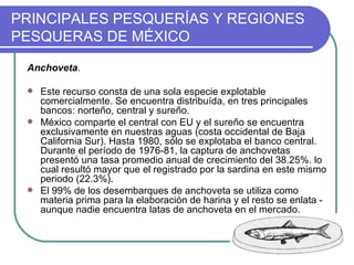 PRINCIPALES PESQUERÍAS Y REGIONES
PESQUERAS DE MÉXICO

 Anchoveta.

  Este recurso consta de una sola especie explotable
   comercialmente. Se encuentra distribuída, en tres principales
   bancos: norteño, central y sureño.
  México comparte el central con EU y el sureño se encuentra
   exclusivamente en nuestras aguas (costa occidental de Baja
   California Sur). Hasta 1980, sólo se explotaba el banco central.
   Durante el período de 1976-81, la captura de anchovetas
   presentó una tasa promedio anual de crecimiento del 38.25%. lo
   cual resultó mayor que el registrado por la sardina en este mismo
   periodo (22.3%).
  El 99% de los desembarques de anchoveta se utiliza como
   materia prima para la elaboración de harina y el resto se enlata -
   aunque nadie encuentra latas de anchoveta en el mercado.
 