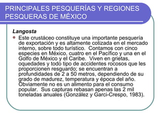 PRINCIPALES PESQUERÍAS Y REGIONES
PESQUERAS DE MÉXICO

 Langosta
  Este crustáceo constituye una importante pesquería
   de exportación y es altamente cotizada en el mercado
   interno, sobre todo turístico. Contamos con cinco
   especies en México, cuatro en el Pacífico y una en el
   Golfo de México y el Caribe. Viven en grietas,
   oquedades y todo tipo de accidentes rocosos que les
   proporcionen resguardo; se encuentran a
   profundidades de 2 a 50 metros, dependiendo de su
   grado de madurez, temperatura y época del año.
   Obviamente no es un alimento para el consumo
   popular. Sus capturas rebasan apenas las 2 mil
   toneladas anuales (González y Garci-Crespo, 1983).
 