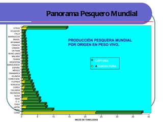 Panorama Pesquero Mundial
     OTROS
  ECUADOR
      ITALIA
MARRUECOS
     BRASIL
  MYANMAR
                             PRODUCCIÓN PESQUERA MUNDIAL
   FRANCIA                   POR ORIGEN EN PESO VIVO,
   CANADÁ
   VIETNAM
REINO UNIDO
   MALASIA
    TAIWAN
  ARGENTINA
                                                 CAPTURA
BANGLADESH
    ESPAÑA
                                                 ACUACULTURA
    MÉXICO
 DINAMARCA
   ISLANDIA
COREA DEM.
   FILIPINAS
  NORUEGA
    COREA
  TAILANDIA
  INDONESIA
     RUSIA
      INDIA
       E. U.
      CHILE
     JAPÓN
      PERÚ
     CHINA

               0   5    10   15          20            25   30   35   40
                                  MILES DE TONELADAS
 