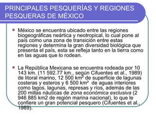 PRINCIPALES PESQUERÍAS Y REGIONES
PESQUERAS DE MÉXICO

    México se encuentra ubicado entre las regiones
     biogeográficas neártica y neotropical, lo cual pone al
     país como una zona de transición entre estas
     regiones y determina la gran diversidad biológica que
     presenta el país, esta se refleja tanto en la tierra como
     en las aguas que lo rodean.

    La República Mexicana se encuentra rodeada por 10
     143 km. (11 592.77 km., según Cifuentes et al., 1989)
     de litoral marino, 12 500 km² de superficie de lagunas
     costeras y esteros y 6 500 km² de aguas interiores
     como lagos, lagunas, represas y ríos, además de las
     200 millas náuticas de zona económica exclusiva (2
     946 885 km2 de región marina nacional), lo que le
     confiere un gran potencial pesquero (Cifuentes et al.,
     1989).
 