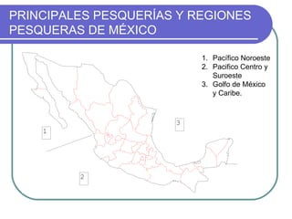 PRINCIPALES PESQUERÍAS Y REGIONES
PESQUERAS DE MÉXICO

                          1. Pacífico Noroeste
                          2. Pacifico Centro y
                             Suroeste
                          3. Golfo de México
                             y Caribe.



                      3
    1




         2
 