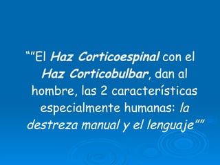 “” El  Haz Corticoespinal  con el  Haz Corticobulbar , dan al hombre, las 2 características especialmente humanas:  la destreza manual y el lenguaje”” 